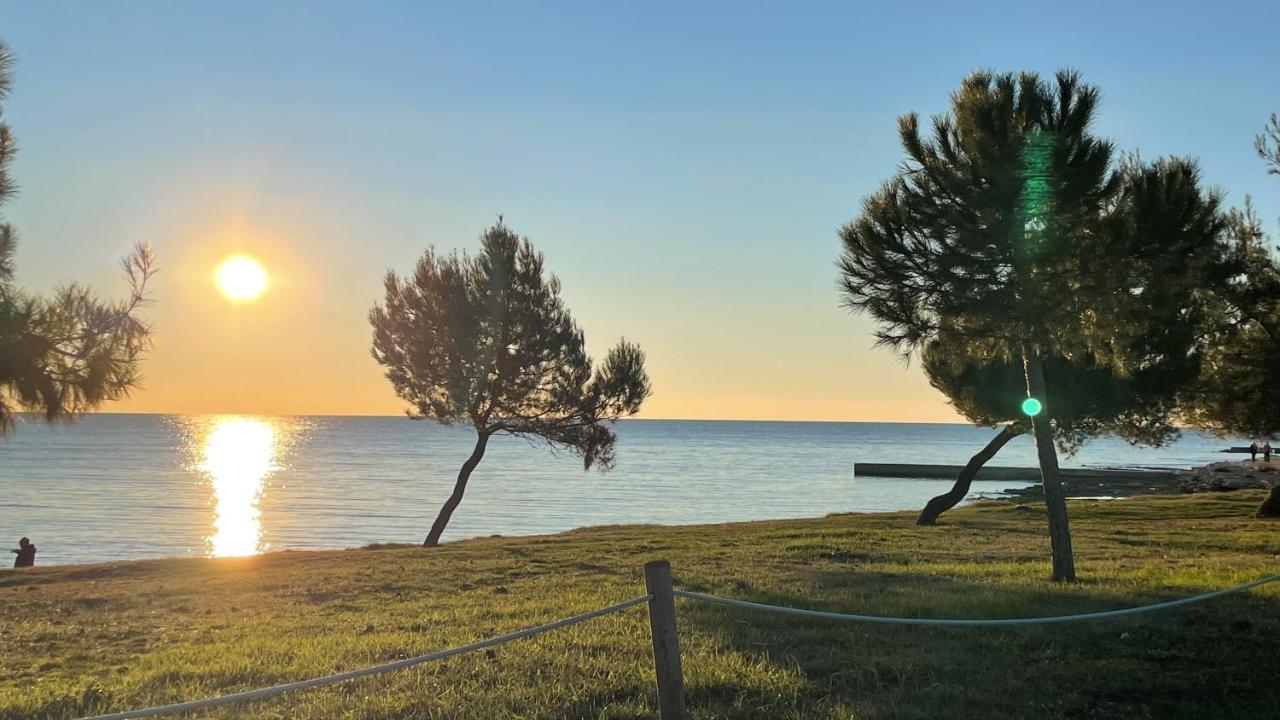 Iva Apartments Novigrad Istria Eksteriør billede
